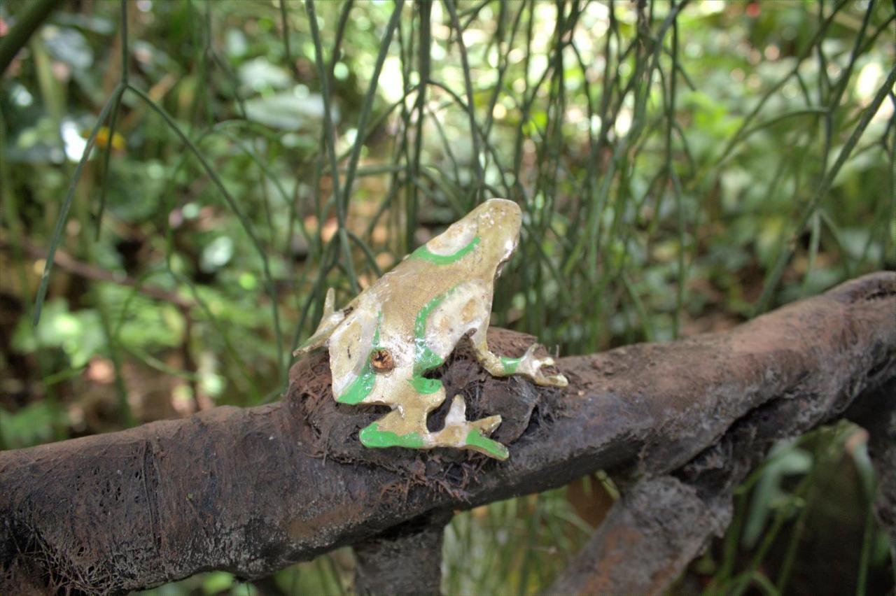Salamandra Costa Rica Jimenez Exterior foto